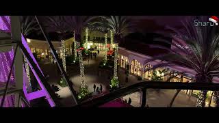 ??⛸  Holiday tree as viewed from a gondola on the Ferris Wheel