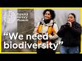 Understanding Wetlands and Biodiversity