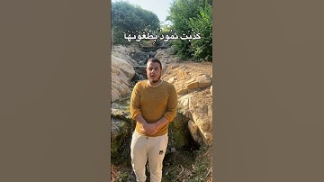 سورة الشمس || محمد شعلان #قرآن #الطبيعة