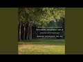 Miniature de la vidéo de la chanson Symphony No. 40 In G Minor, K. 550 "Great": Ii. Andante