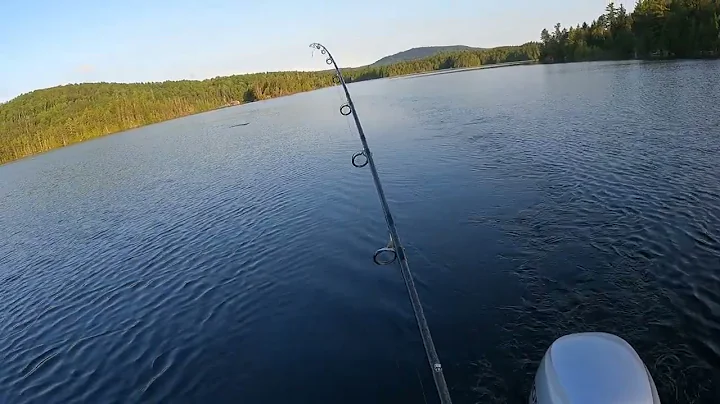 Nice Middle Pond Brook Trout August, 2022