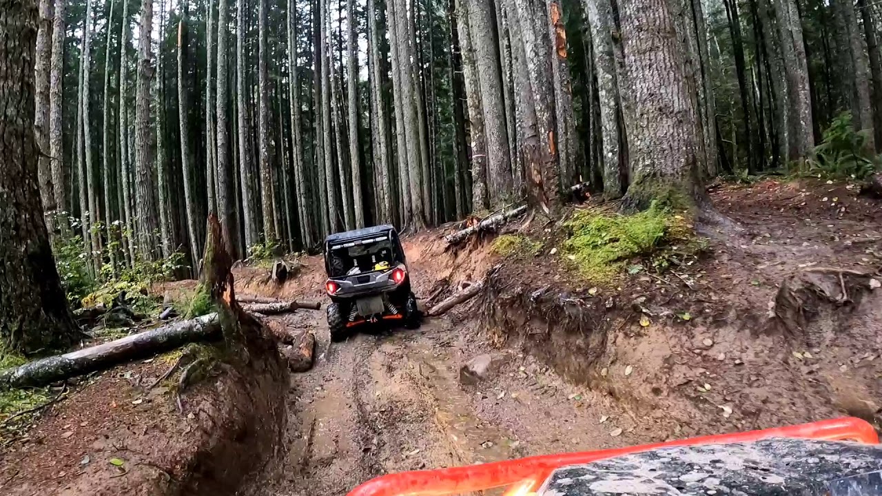 Busy Wild Part 2. Elbe Hills orv park, WA. rzr turbo s and the General