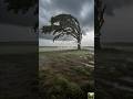 The Tree That Survived the Storm 🌧️🌳 | A Powerful Story of Strength &amp; Hope #shorts