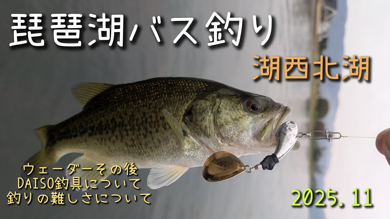 【Vlog】バス釣り　琵琶湖　湖西北湖　高島　ウェーダーその後　japanese bass fishing