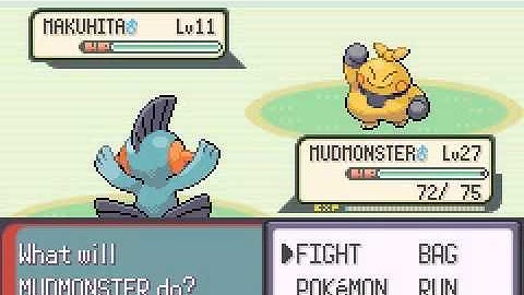 Pokemon Emerald Ep 11 route 117