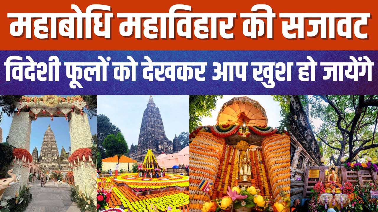 महाबोधि महाविहार की सजावट;थाई, वियतनाम समेत इन देशों के फूलो को देखकर आप खुश हो जायेंगे #bodhgaya
