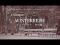 Winterreise op.89　シューベルト：歌曲集「冬の旅」全集