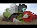 Claas Tucano 580 Mähdrescher + Convio Draper [Test-Drive in 4K]