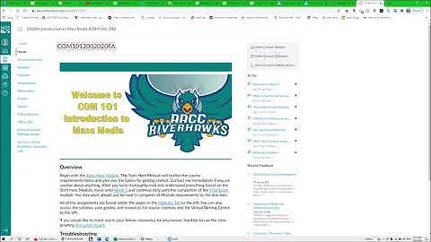 Canvas navigation with Jaws- AACC site