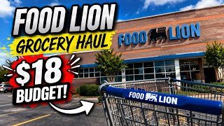 I Only Had $18 at Food Lion… Here’s What Happened 🛒