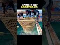巨大ガニを見つけたら大チャンス 磯遊び名人の捕獲術！