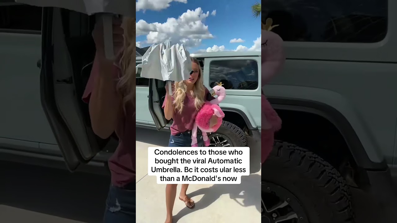 Upgrade Your Rain Game with This Auto Open Umbrella