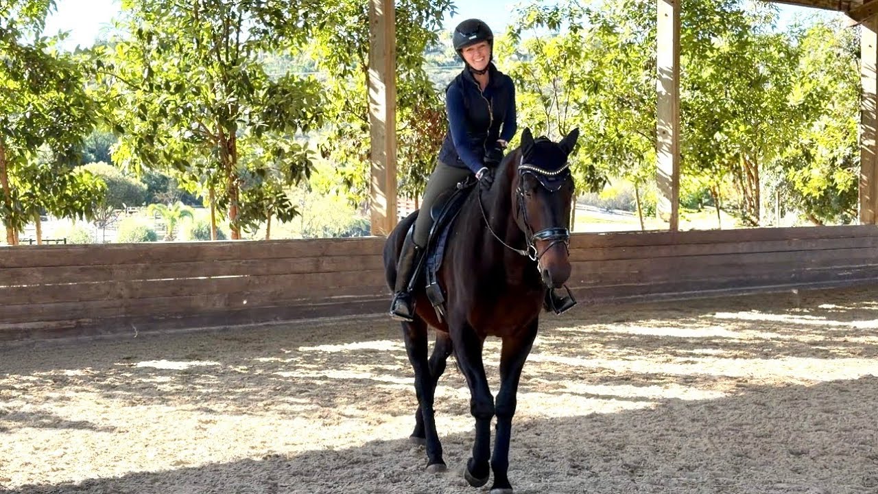 The horse I will be riding, Liberty, is back! - YouTube