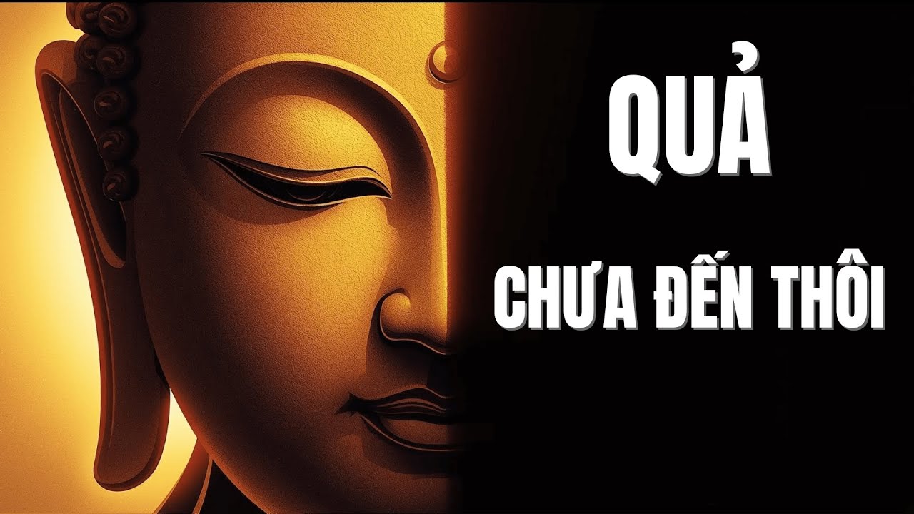 🎧Đừng Hiểu Sai Về Nhân Quả! Bí Mật Giúp Bạn Thoát Khỏi Khổ Đau