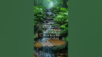 لا إله إلا اللّٰه 🍀القرآن الكريم 🍀سورة البقره 🍀القارئ مشاري العفاسي 🍀اللهم صلِّ وسلم وبارك على محمد