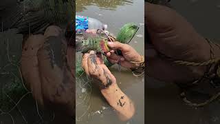 #miguel atrapa un# pescado de colores 😱🐟