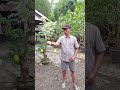 Bermain latto latto bersama ayah ku gaes #bermain #latto #lattolatto #dailyvlog #mainan #mainananak