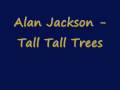 Miniature de la vidéo de la chanson Tall, Tall Trees