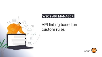 API linting based on custom rules
