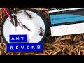 Turning Ants into Convolution Reverb