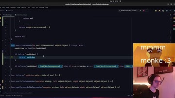 Writing an Interpreter in Go🔥 @codingwithluke #monke #Go !commands