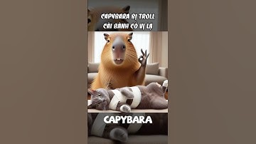 Capybara bị mèo xám troll: cái bánh có vị lạ #capybara #troll #haihuoc #cuoicungAI