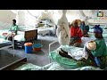 Cholera In Kinshasa Already 800 Cases In Limete Pakadjuma Camp Kokolo And Makala Cholera In Kinshasa Already 800 Cases In Limete Pakadjuma Camp Kokolo And Makala
