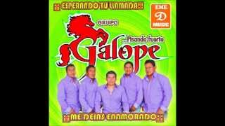POP CHILENA 1CHIVO FLACO- GRUPO GALOPE DE MIAHUATLAN OAX. chords