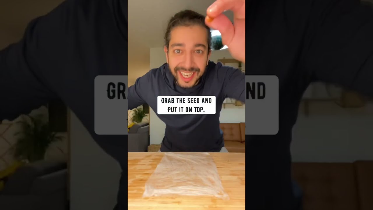 How To Grow A Plum Tree Creative Explained