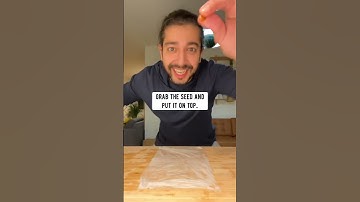 How to Grow a Plum Tree | creative explained