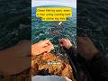casting bait strike big fish‼️😱#shortvideos #americafish