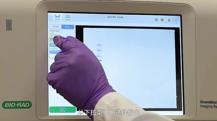 如何使用新型ChemiDoc MP成像系統進行多重熒光蛋白質印跡成像 - 天天要聞