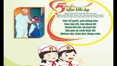 Tìm hiểu cơ bản về Đội TNTP Hồ Chí Minh