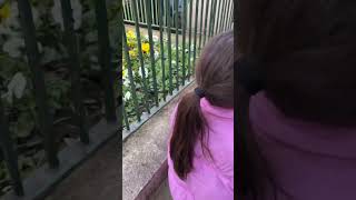 Akan sular durulur mu 🙏 #eslem shorts #türbe #baby #dua #viral #funny