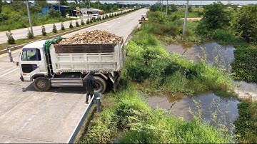 Be careful Start Landfill New Project!Sideroad Flood Area,TruckDumping Skill,Dozer D20P Pushing Soil