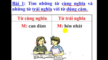 LTVC 4: Mở rộng vốn từ DŨNG CẢM - Tuần 26
