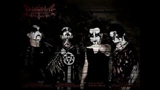 IMMOLATE-IMMOLATE IN THE NIGHT CLEWOON