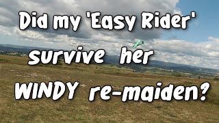 My cheap foamie beginner Lidl RC build gets a VERY WINDY 2nd test flight!