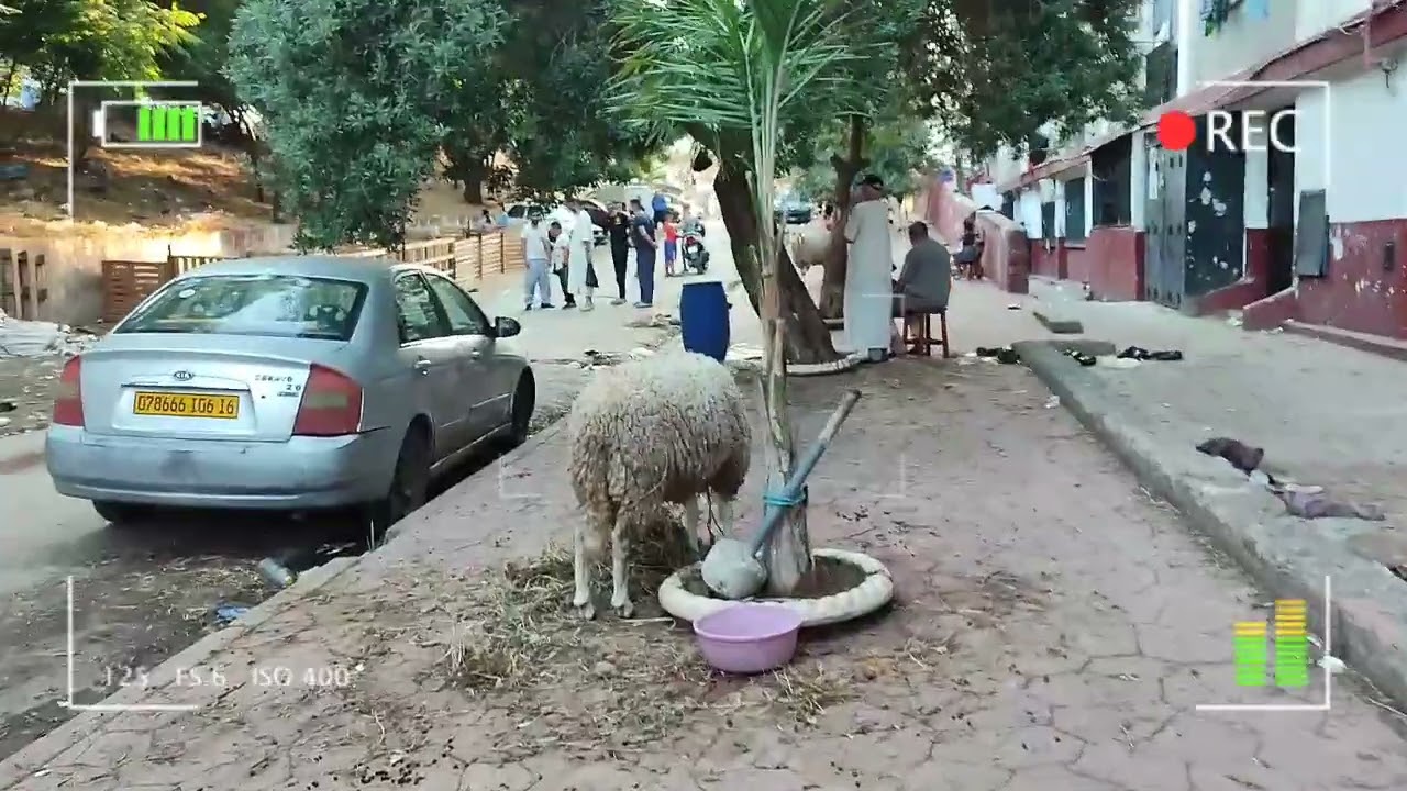 اجواء ليلة عيد الأضحى في حومتي