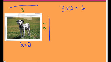 Chapter 7 Lesson 3 - Similarity & Transformations - Example 3