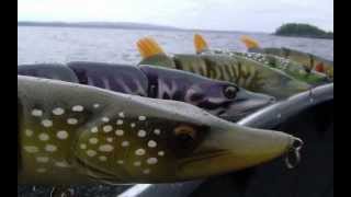 Lucky Lures Esox swimbait - Sweden 2011