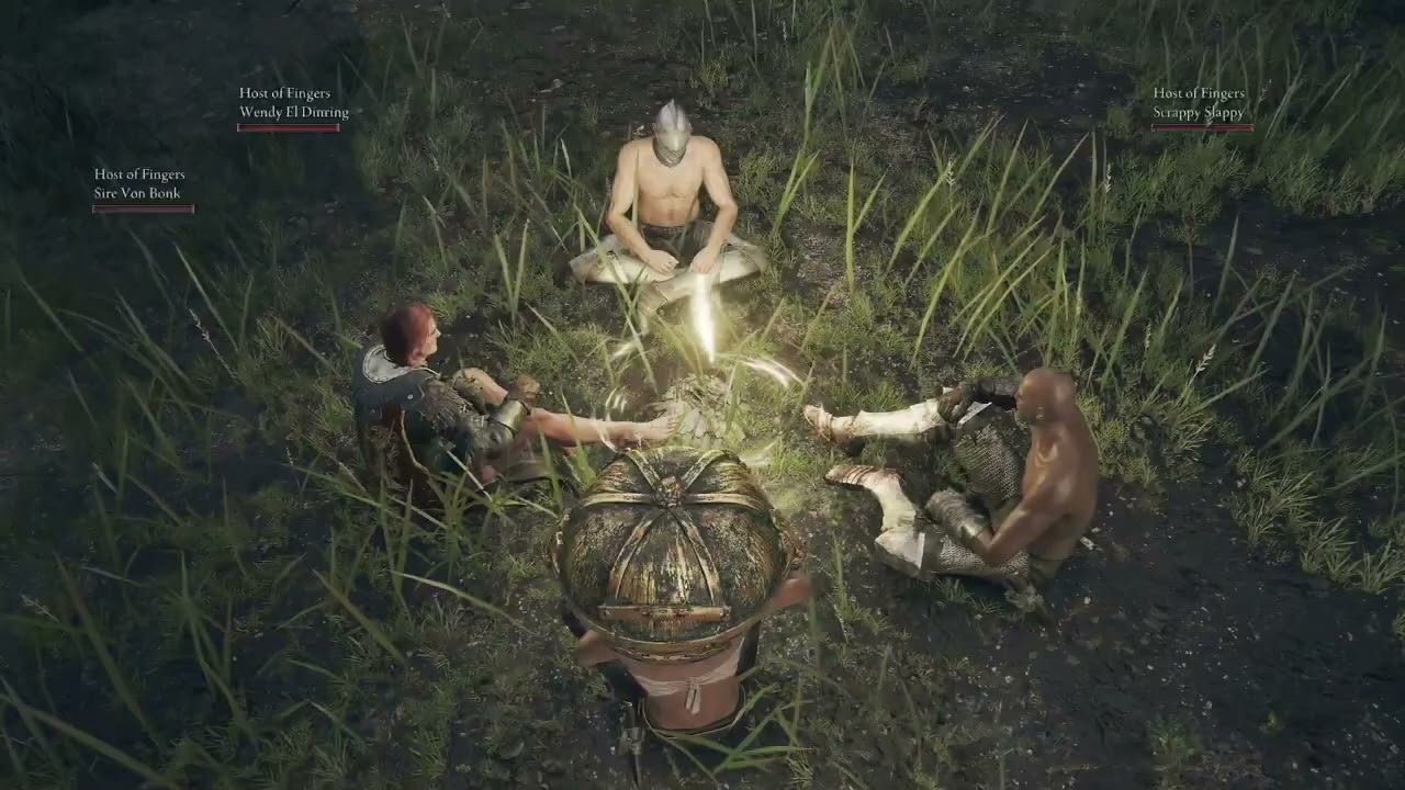 This is Elden Ring Seamless Co-op