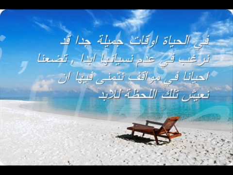 لمن يسأل عن الحياة