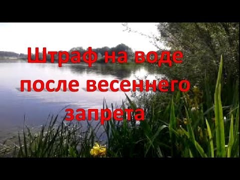 штрафы за рыбалку во время весеннего запрета 2015