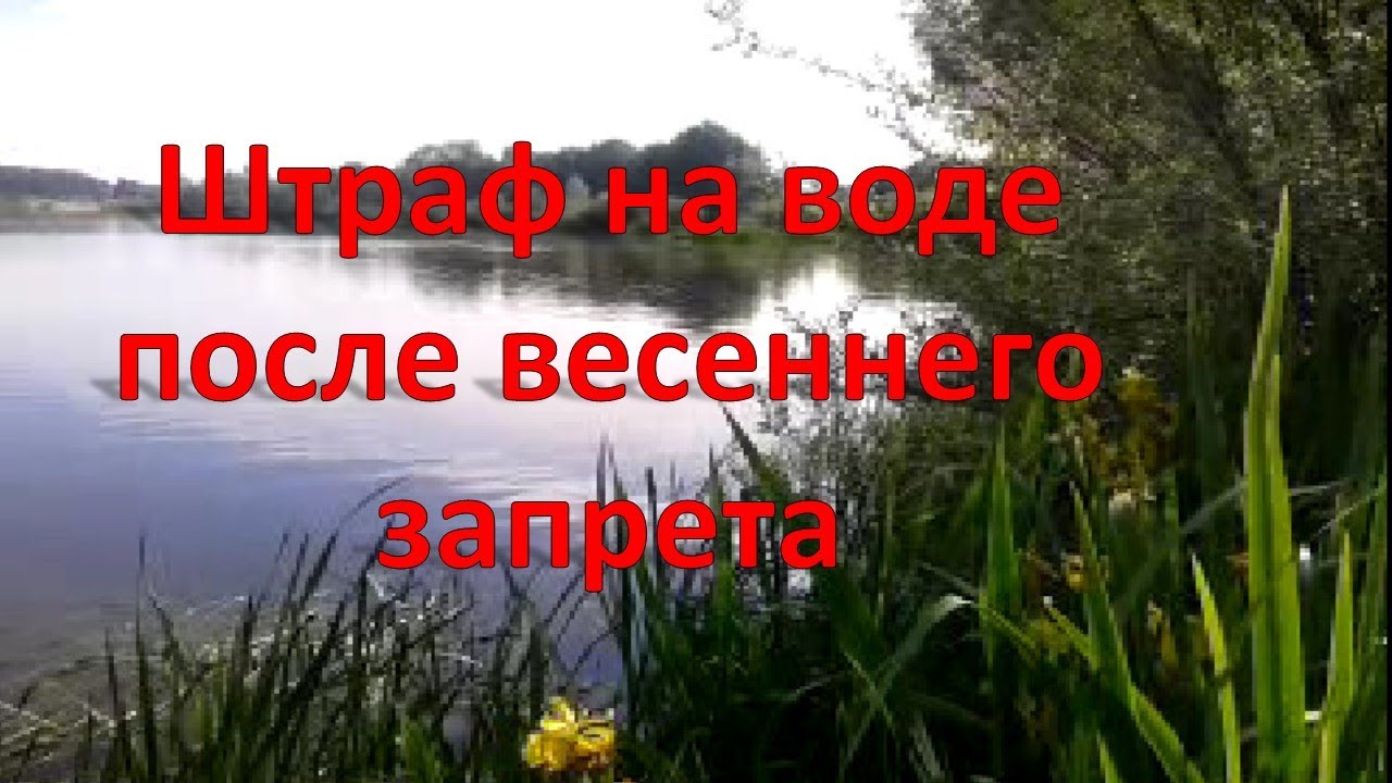 Весенний запрет беларусь