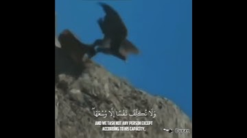 Yousef Almarhoun - القارئ يوسف المرهون