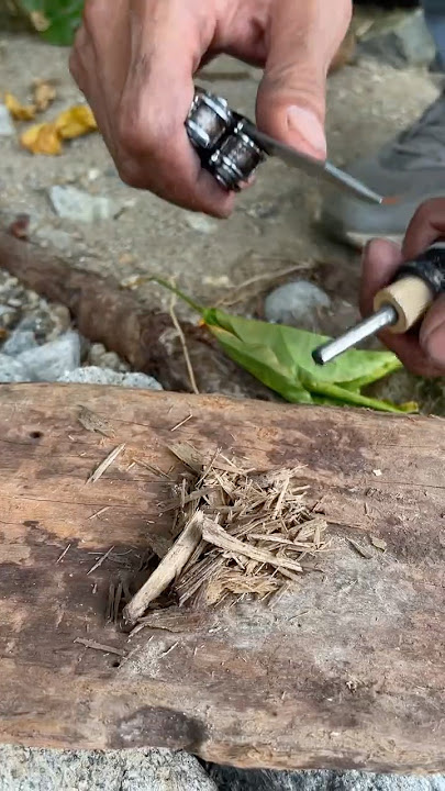 Use tree sap to make fire #survival #campping #bushcraft