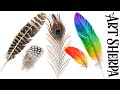 How to paint realistic Feathers in Acrylic step by step  | Intro to Tools and Techniques | Beginners