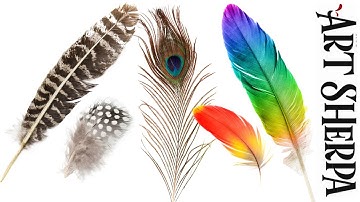 How to paint realistic Feathers in Acrylic step by step  | Intro to Tools and Techniques | Beginners