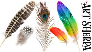 How to paint realistic Feathers in Acrylic step by step | Intro to Tools and Techniques | Beginners